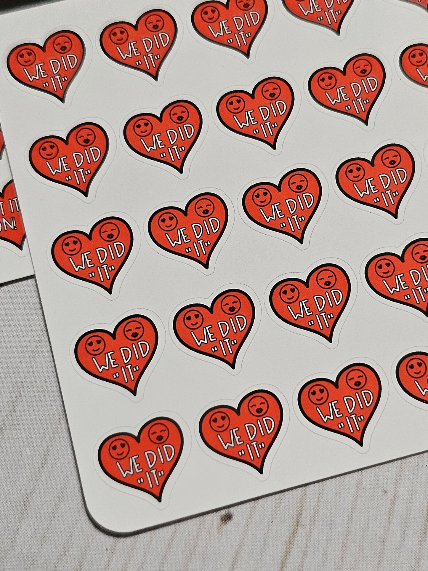 Sexy Time Planner Stickers, Happy Planner Stickers, Planner stickers, sticker kit, got it on, dirty stickers. Read Description!