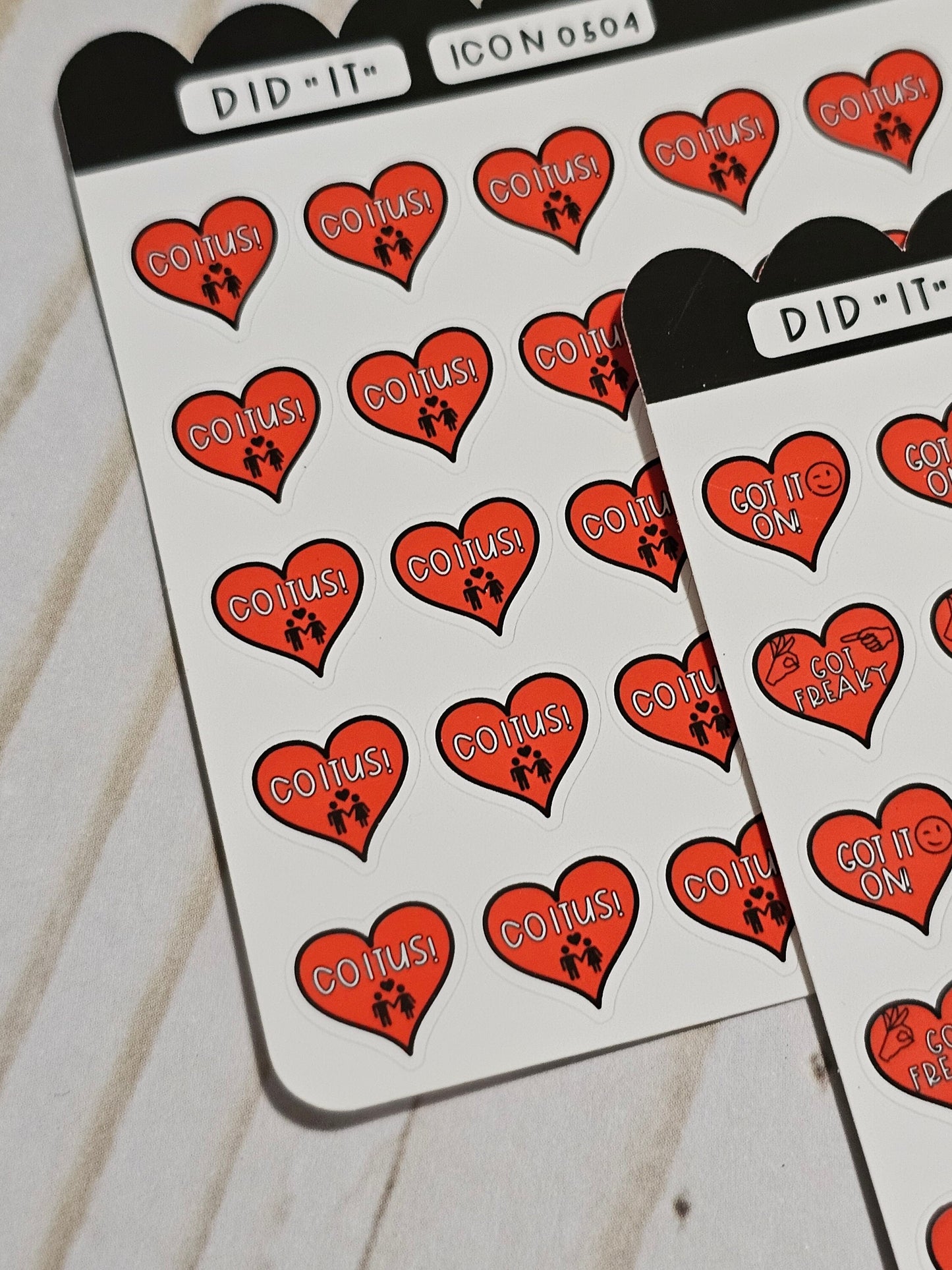 Sexy Time Planner Stickers, Happy Planner Stickers, Planner stickers, sticker kit, got it on, dirty stickers. Read Description!